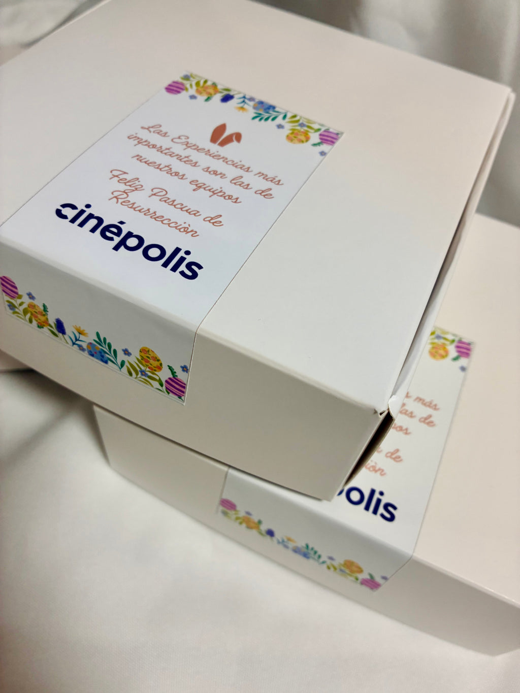 Cajas Especiales