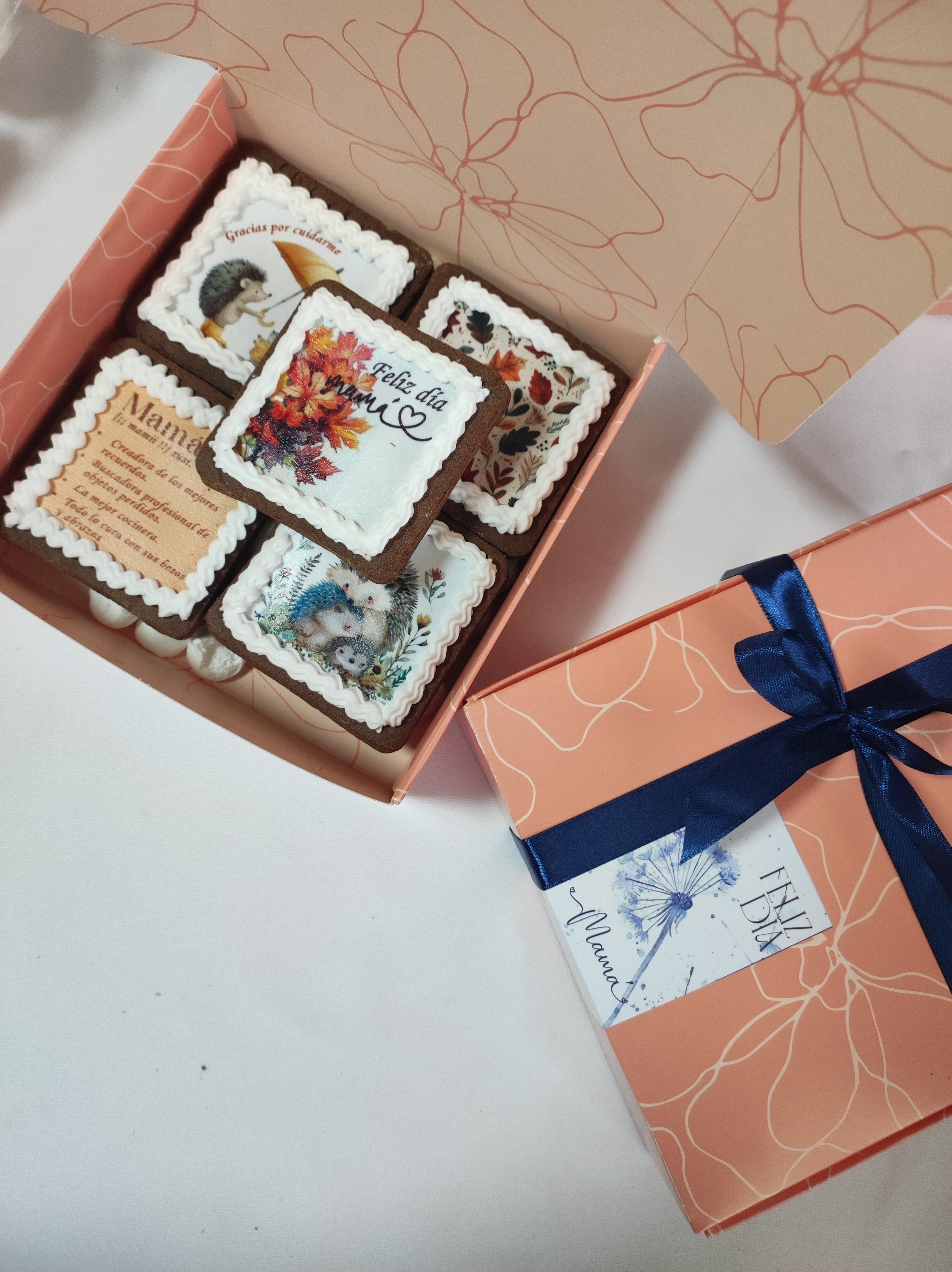 Box Significado Mini